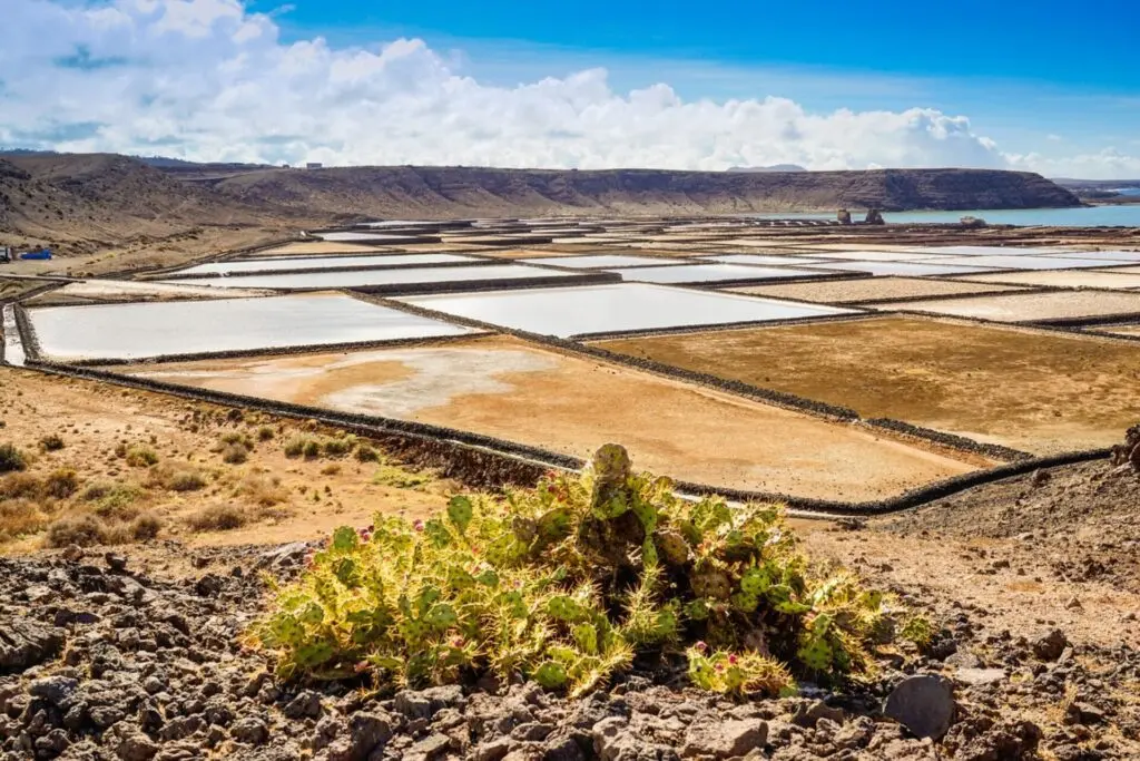 Salzfelder - Salinas de Janubio in Lanzarote 