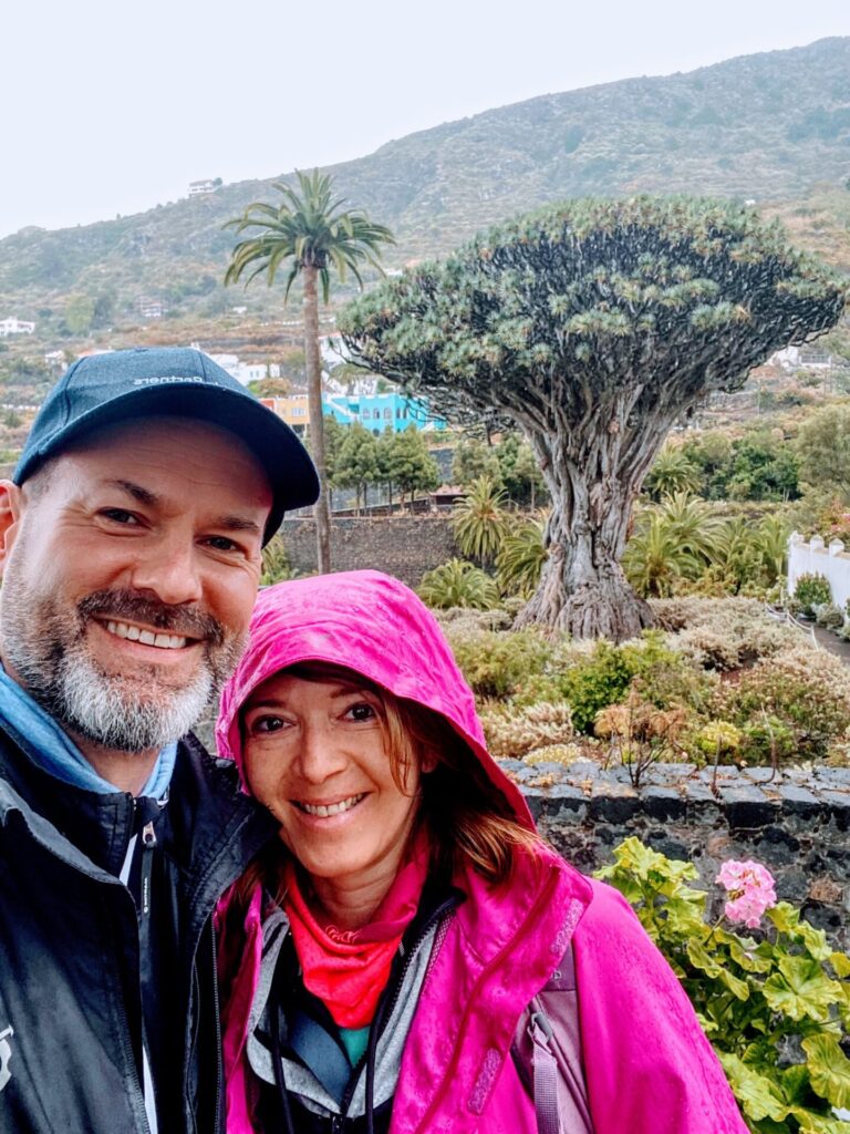 Drago Milenario in Icod de los Vinos auf Teneriffa