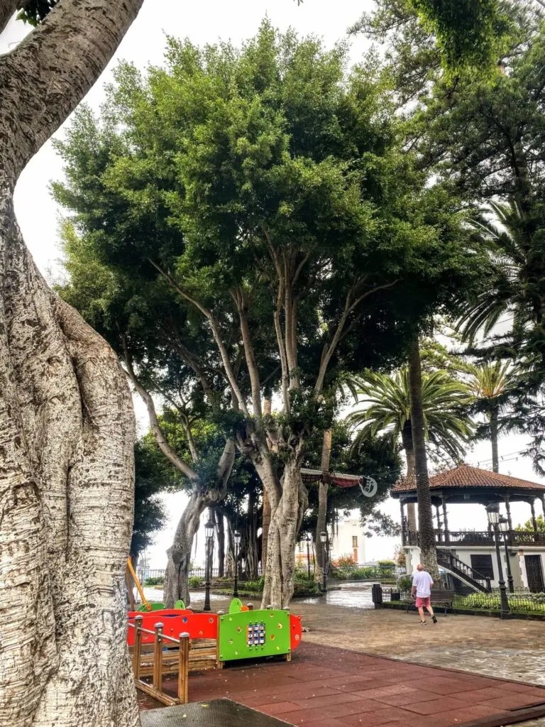 Garten im Icod de los Vinos auf Teneriffa