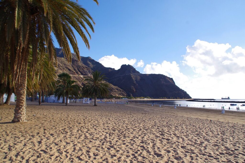 Strand mit Palmen auf Teneriffa 