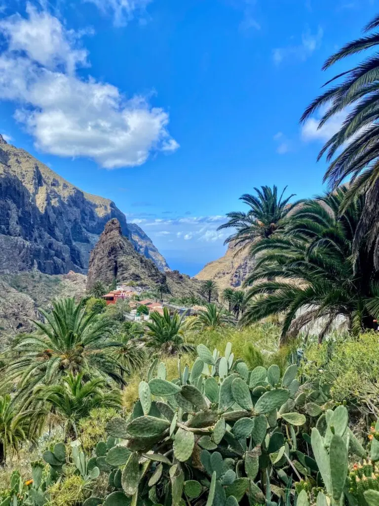 Masca Schlucht auf auf Teneriffa