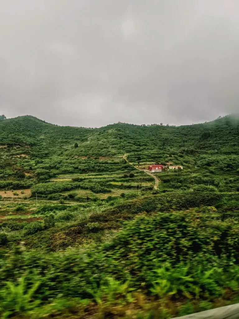 Grüne Bergwelt auf Teneriffa