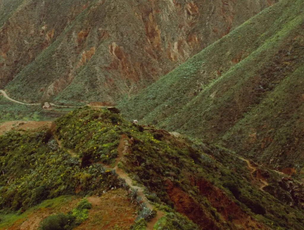 Barranco de Añavingo auf Teneriffa 