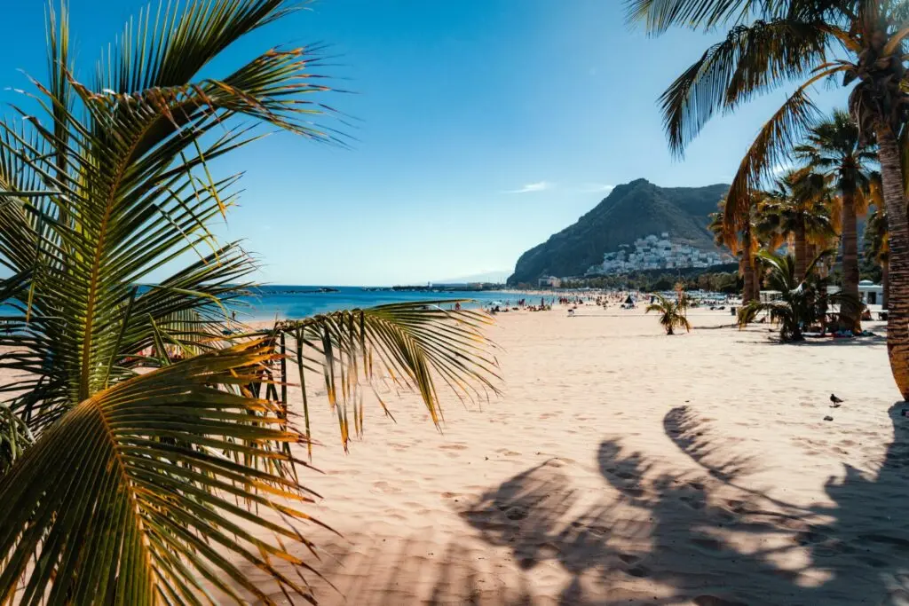 Strand mit Palmen auf Teneriffa 