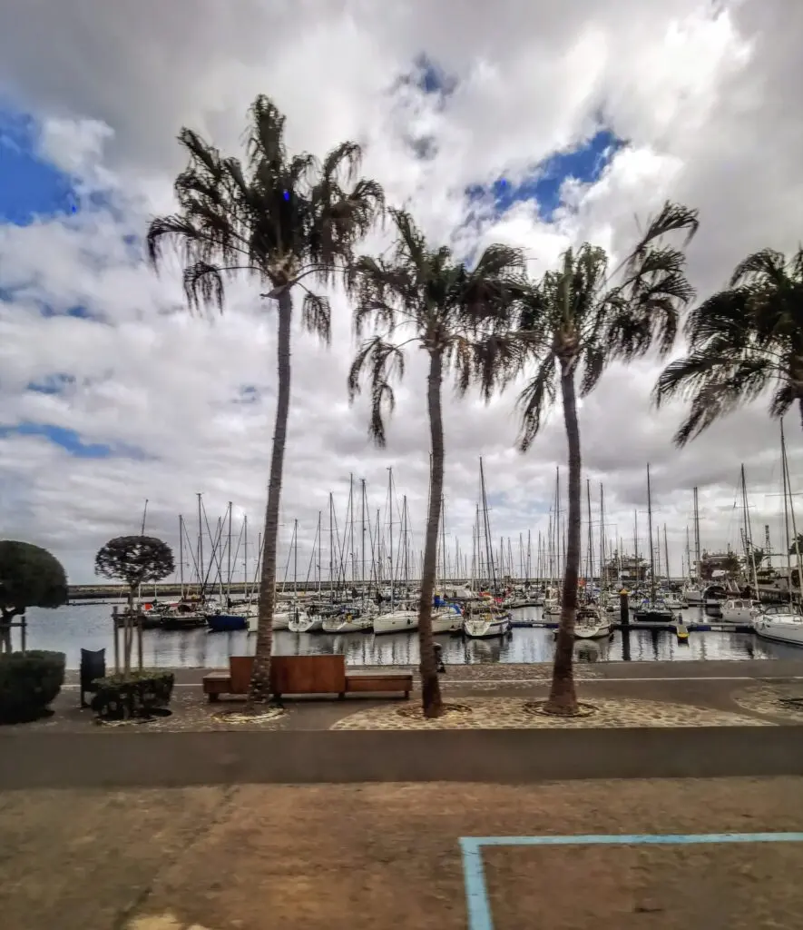 Promenade am Hafen Santa Cruz auf Teneriffa