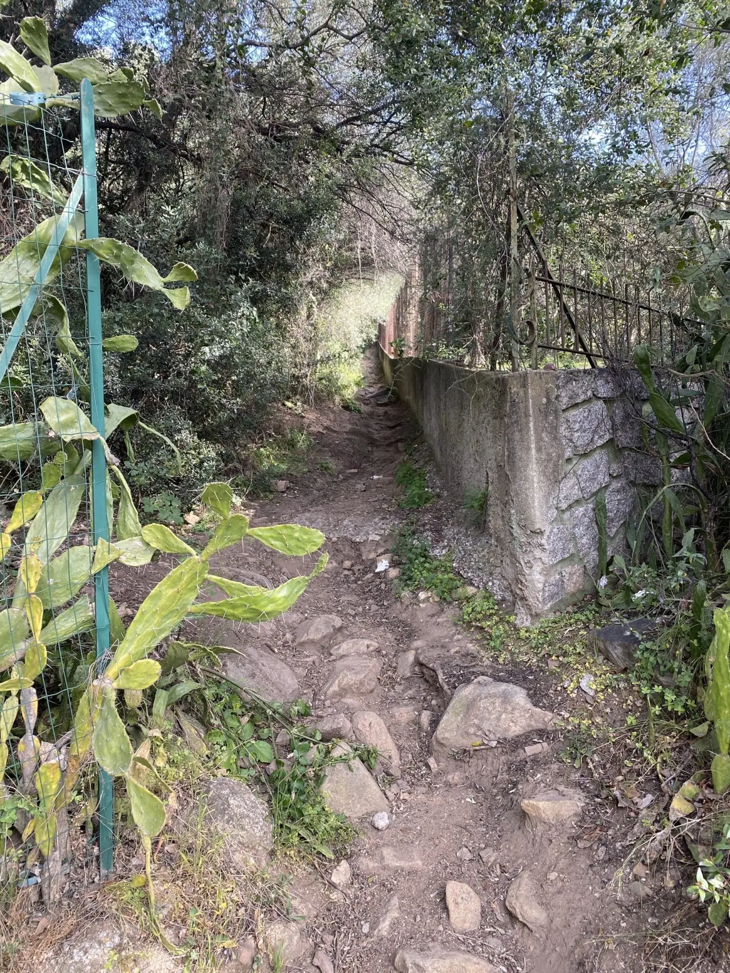 Enger steiniger Wander-Weg