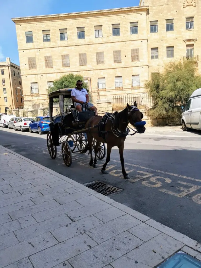Kutschen-Fahrer in Valletta