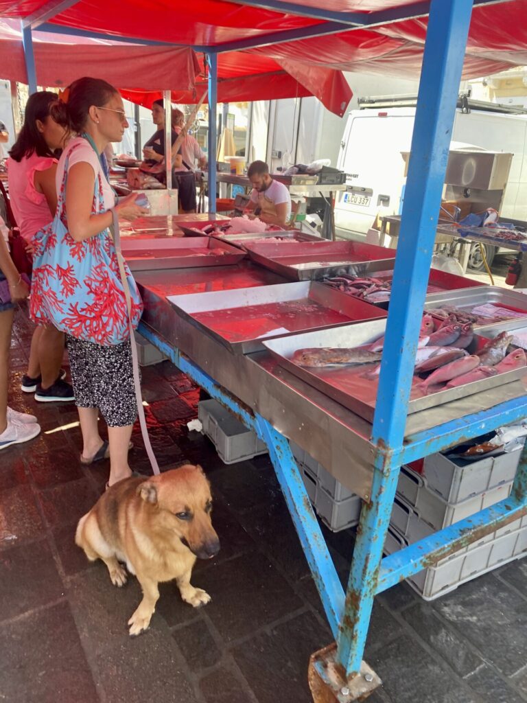 Wochnemarkt in Marsaxlokk
