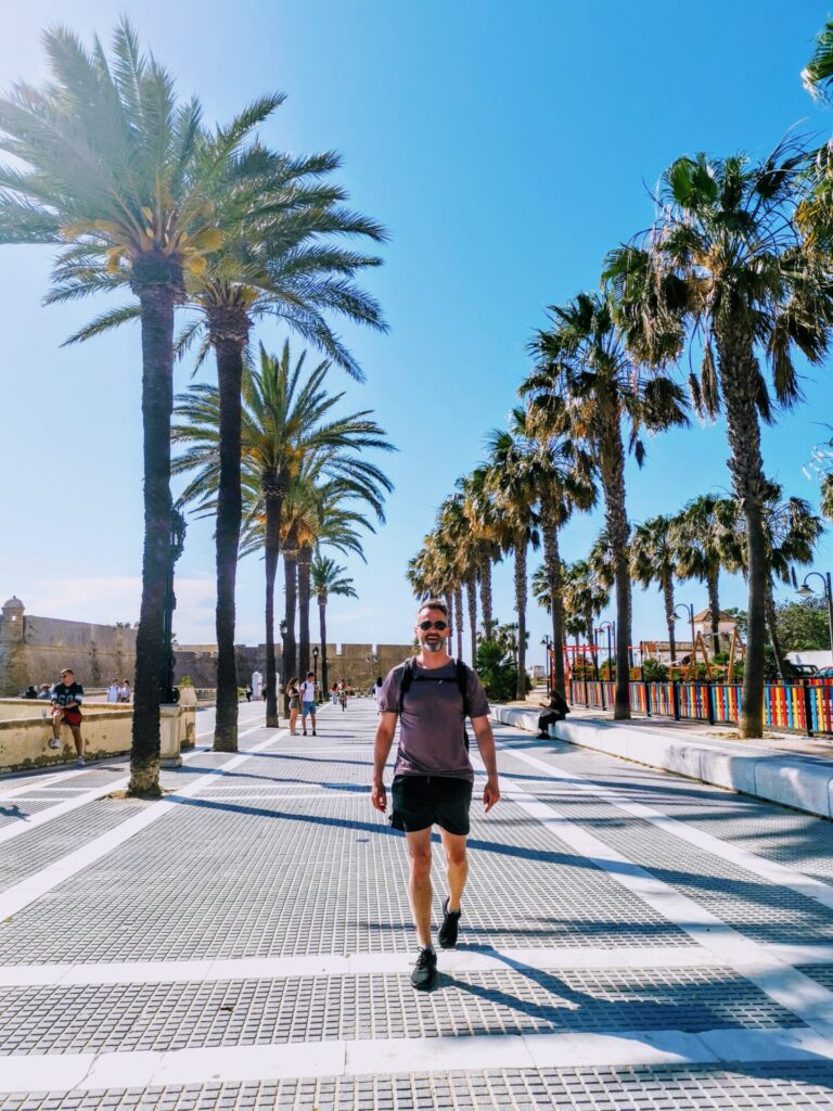 Promenade mit Palmen und Mann in Cadiz