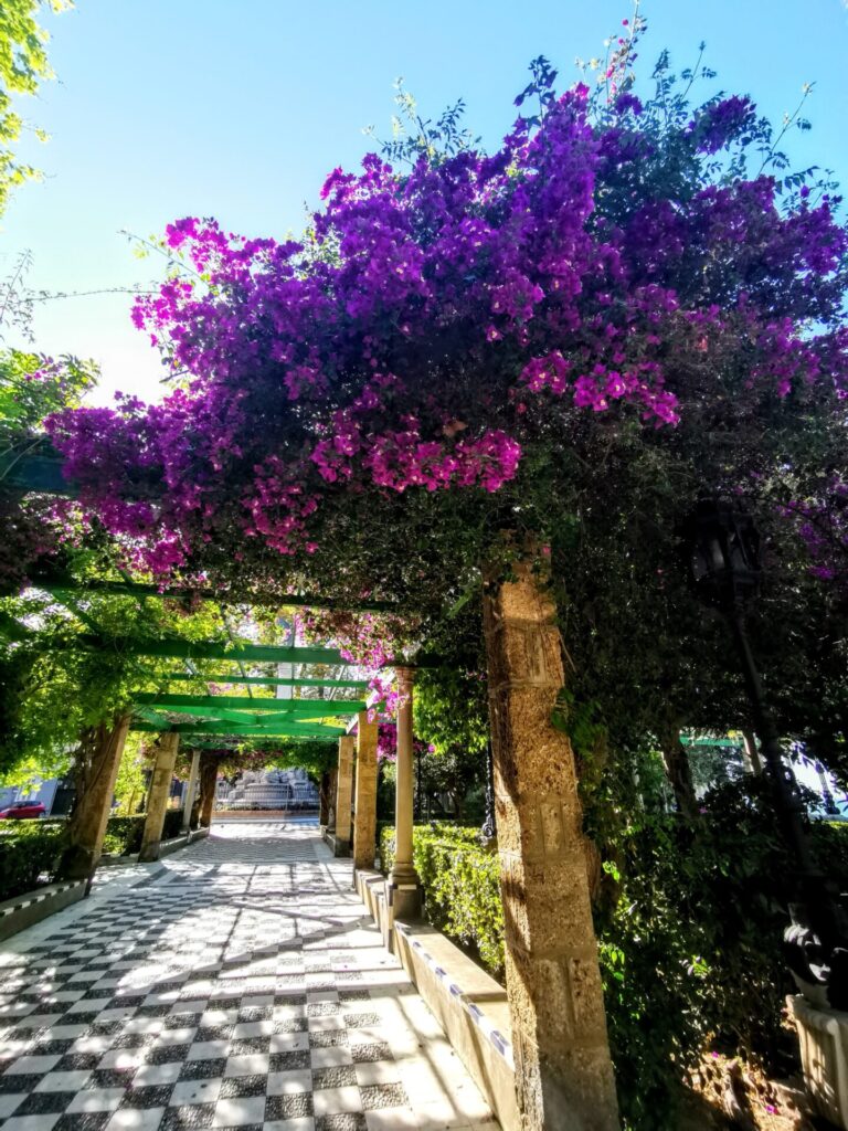 Jardines de Alameda Apodaca in Cadiz