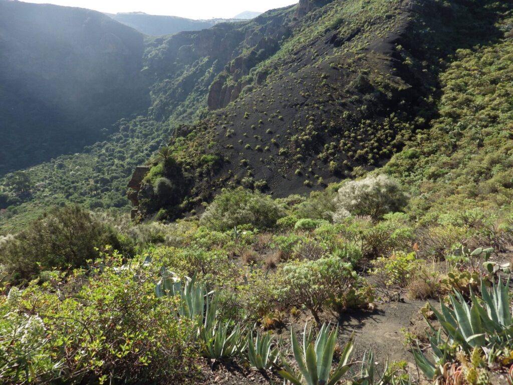 Naturpark Bandama auf Gran Canaria