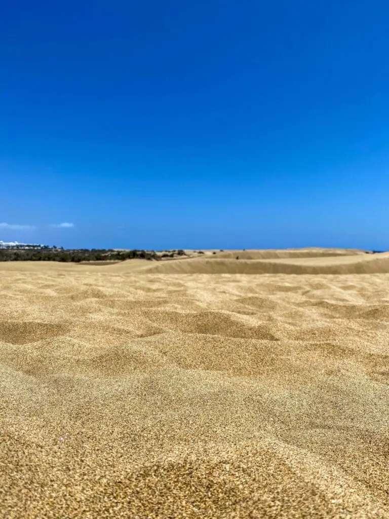 Dünen von Maspalomas in Gran Canaria
