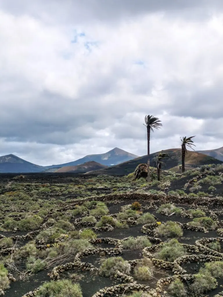 Landschaft im Naturpark Timanfaya in Lanzarote