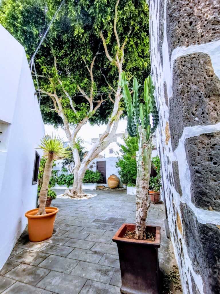 Gasse im Zentrum von Arrecife mit Pflanzen