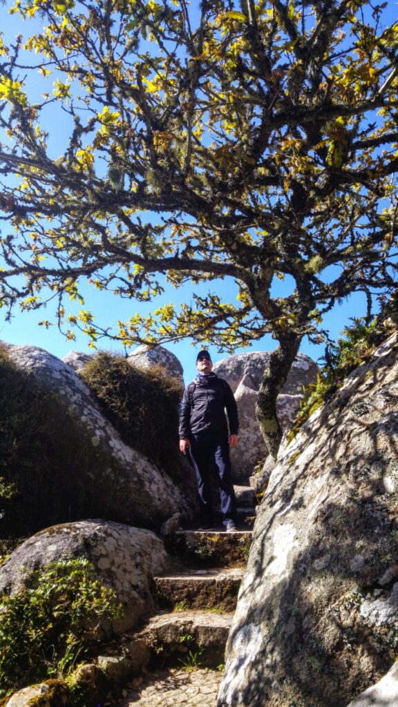 Mann auf einer Steintreppe im Park  Sintra