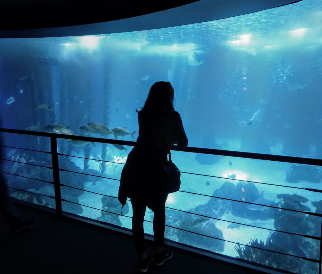 Großes Aquariumfenster mit Frau im Oceanário in Lissabon
