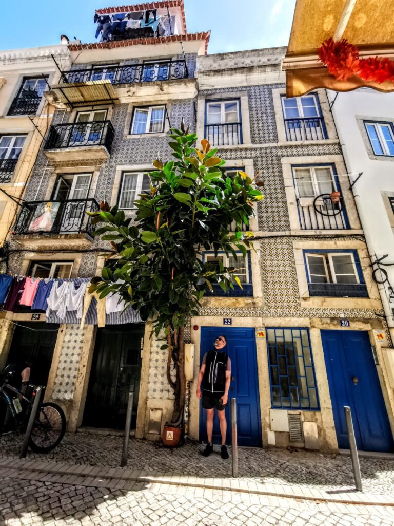 Historic Giant Plant in Lissabon
