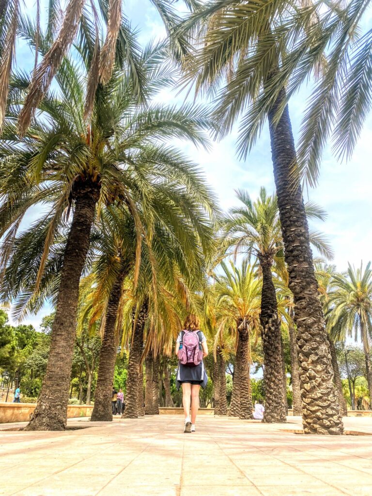 Weg mit Palmen im Jardín del Túria Valencia
