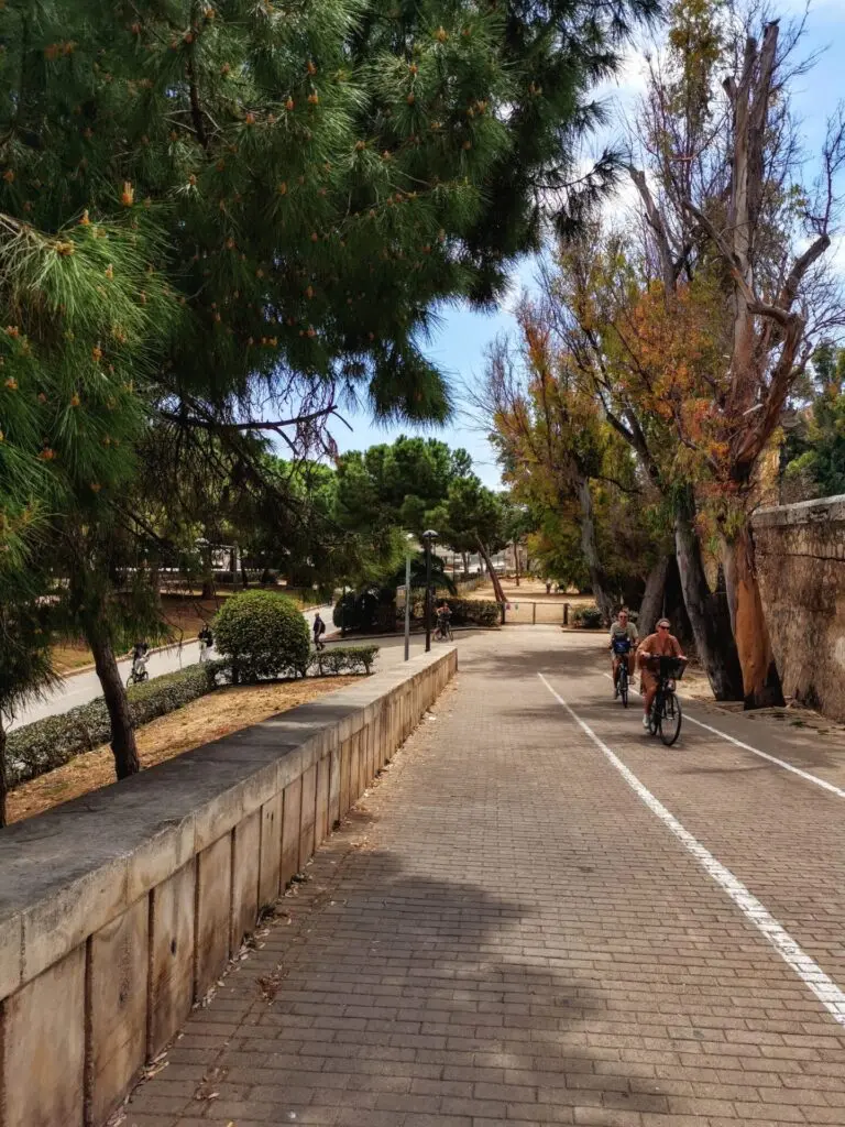 Radweg im Jardín del Túria - Stadtpark Valencia