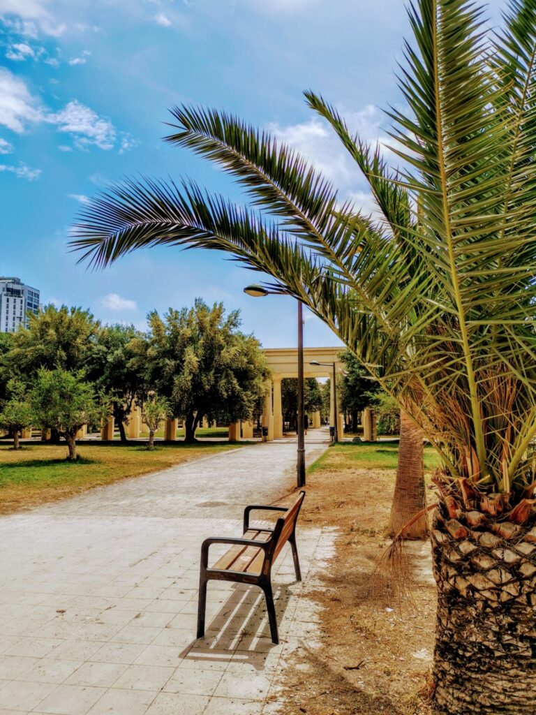 Weg im Jardín del Túria - Stadtpark Valencia