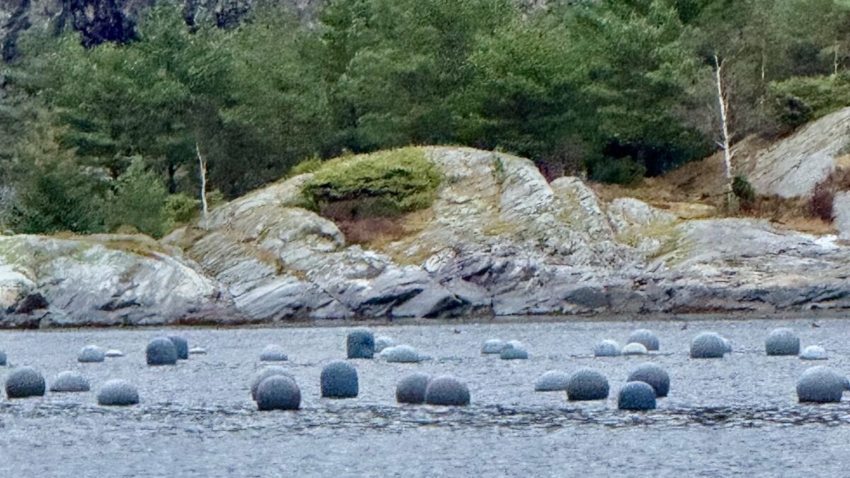 Muschelfarm in Norwegen