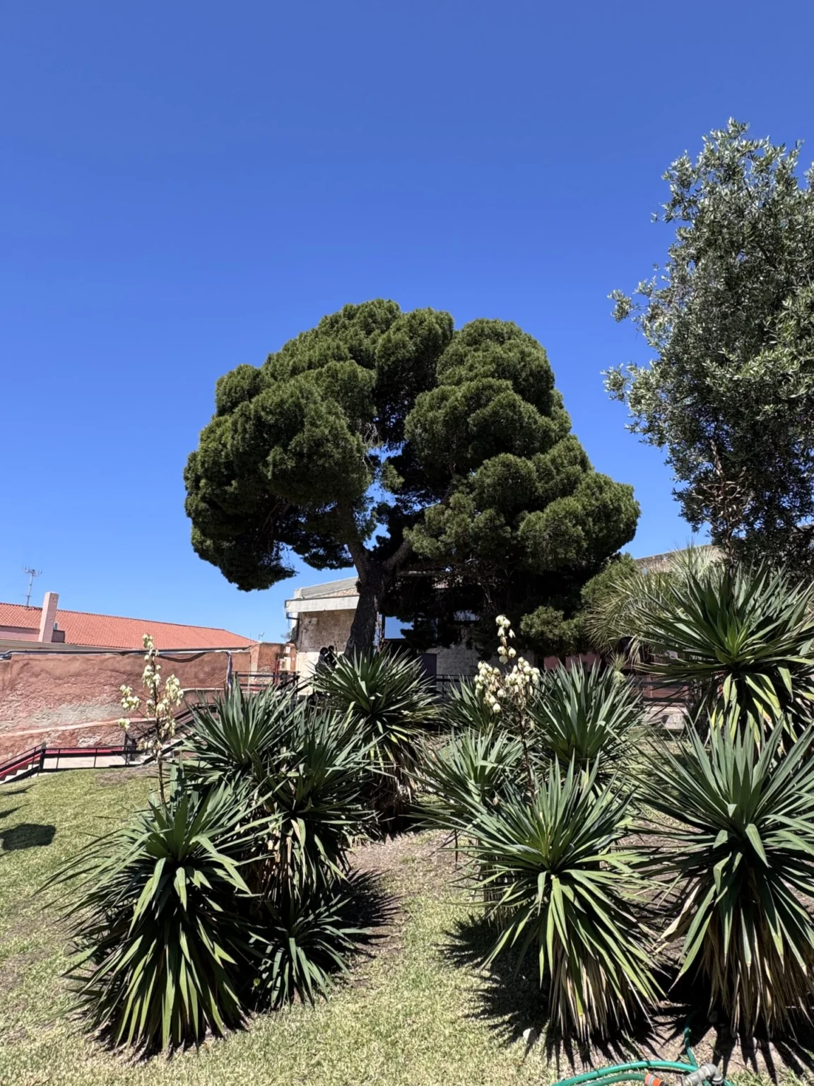 Archäologisches Museum in Cagliari