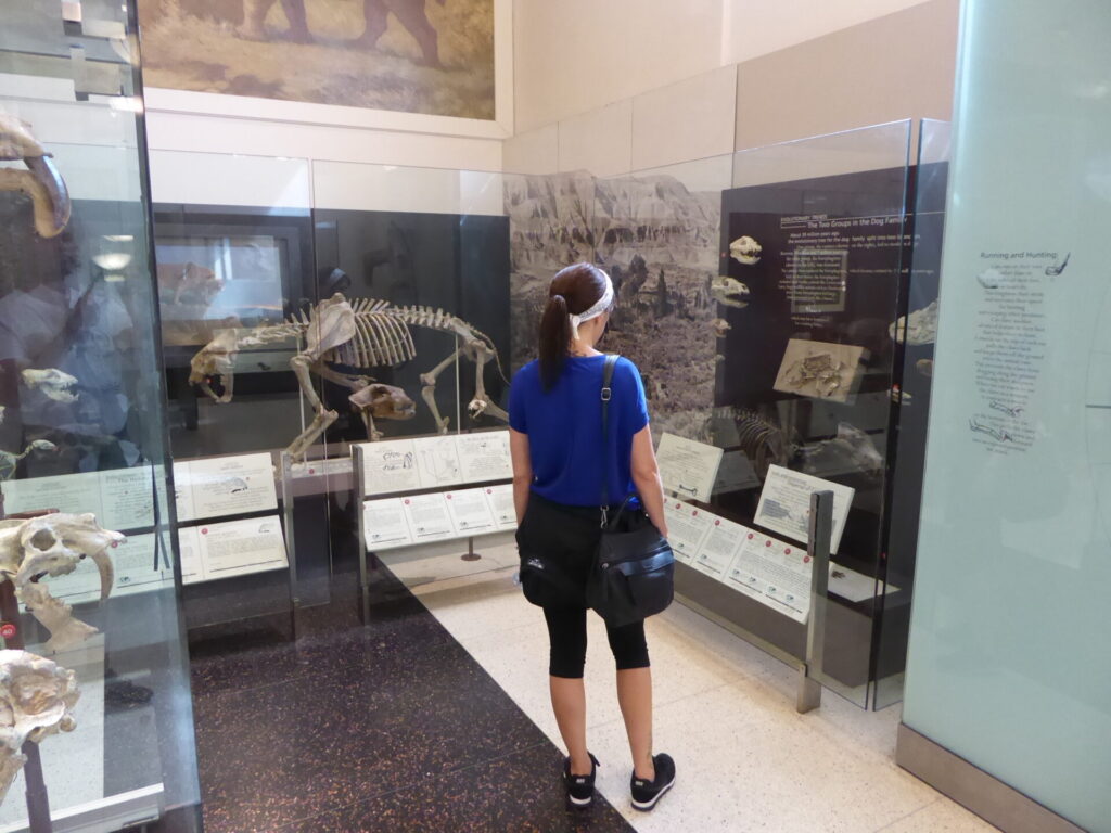 Frau im Museum in New York