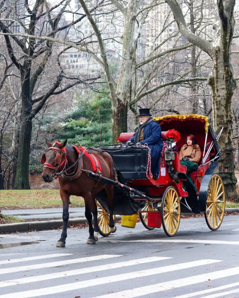 Kutsche in New York City
