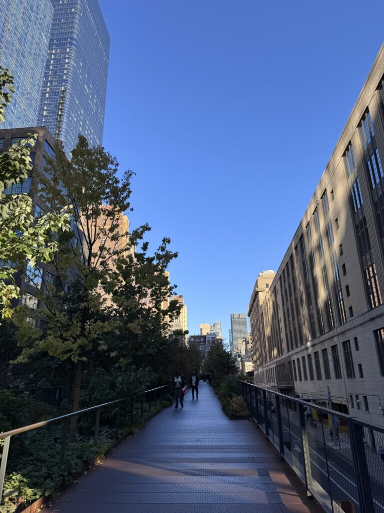 The High Line in New York