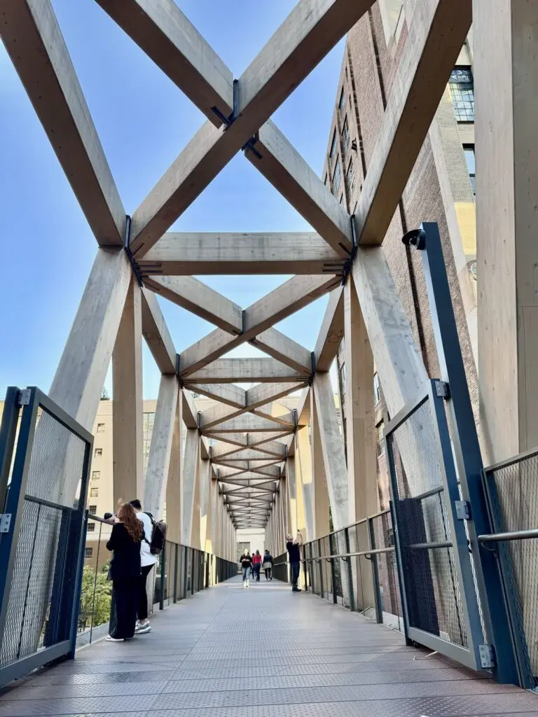 The High Line in New York