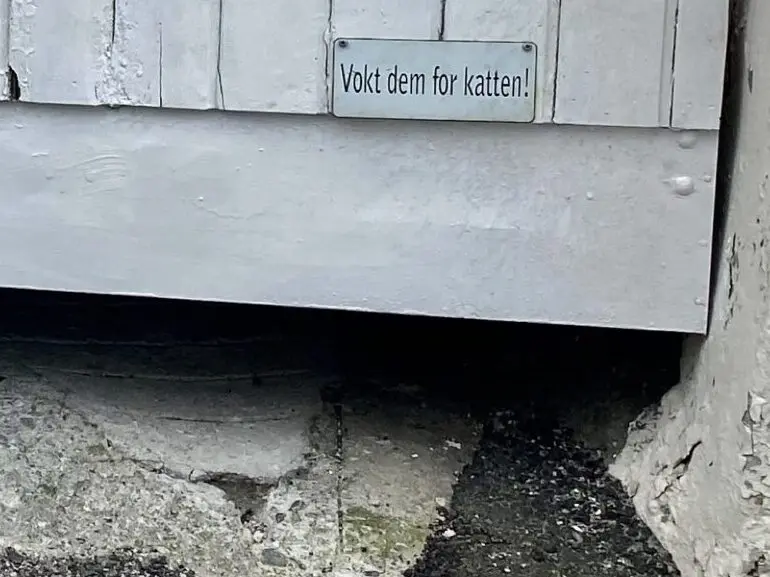 Garagen-Eingang für Katze in Alesund