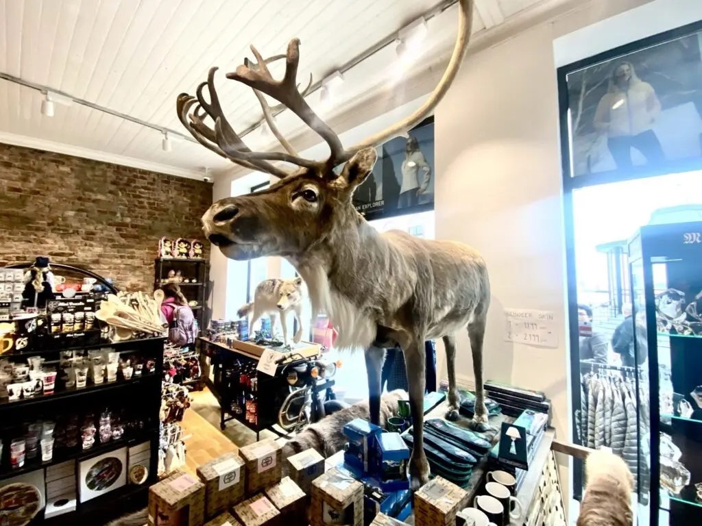 Souvenirshop mit Elch in Alesund