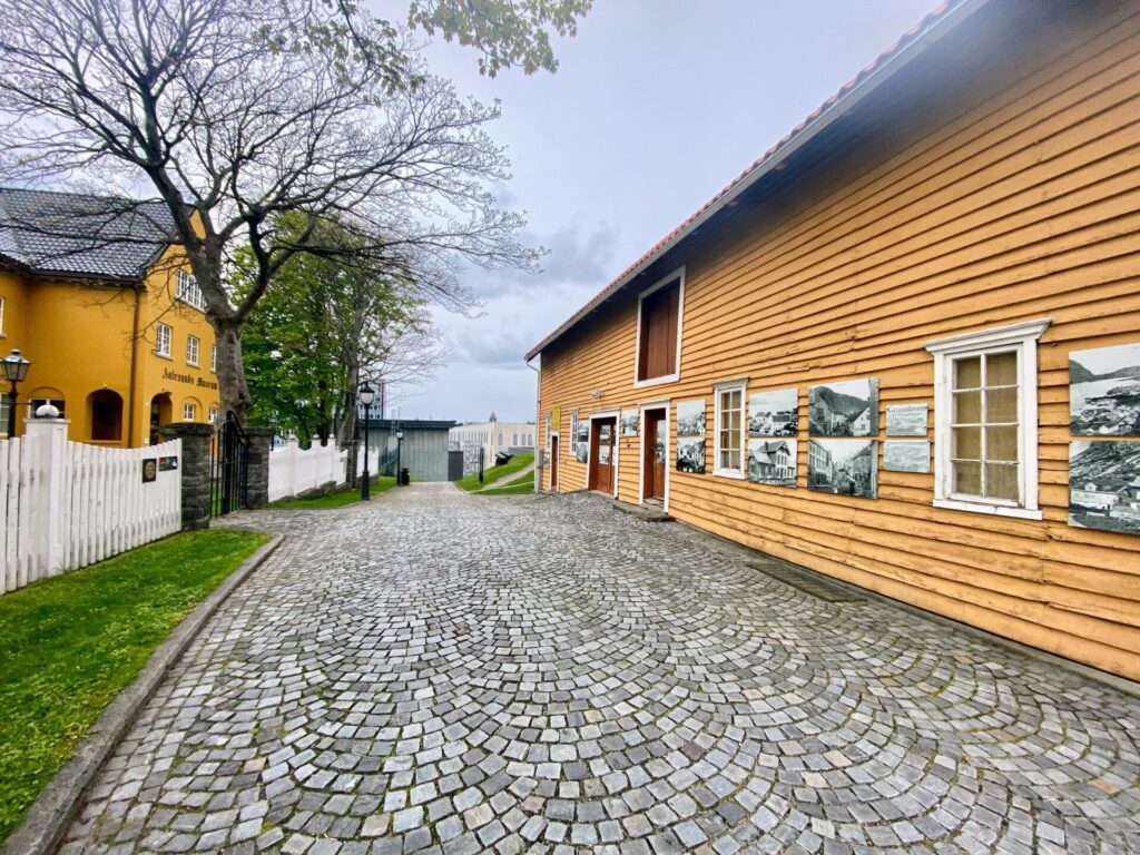 Weg zum Museum Alesund