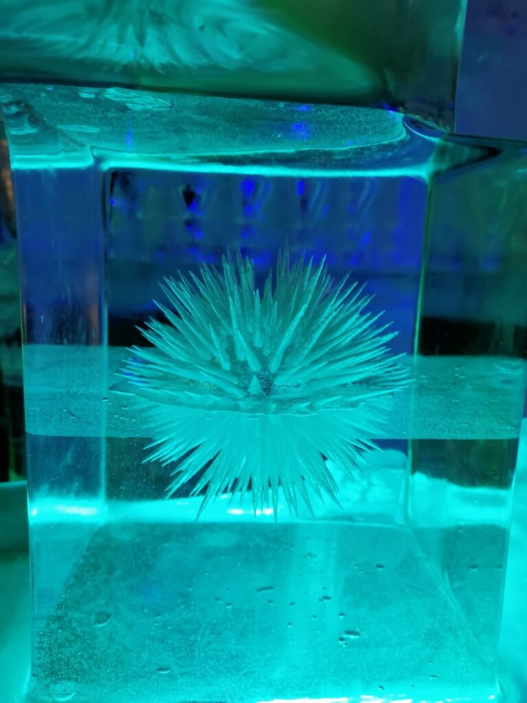 Magic Ice Bar in Bergen von innen