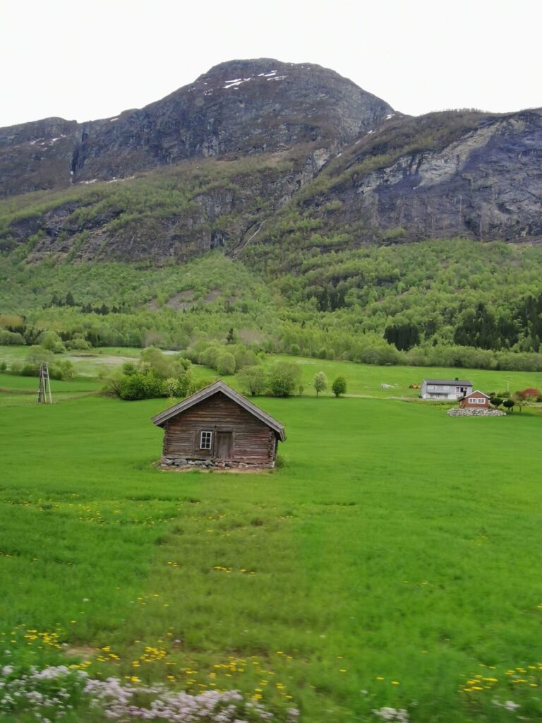 Blick aus die Natur von Olden 