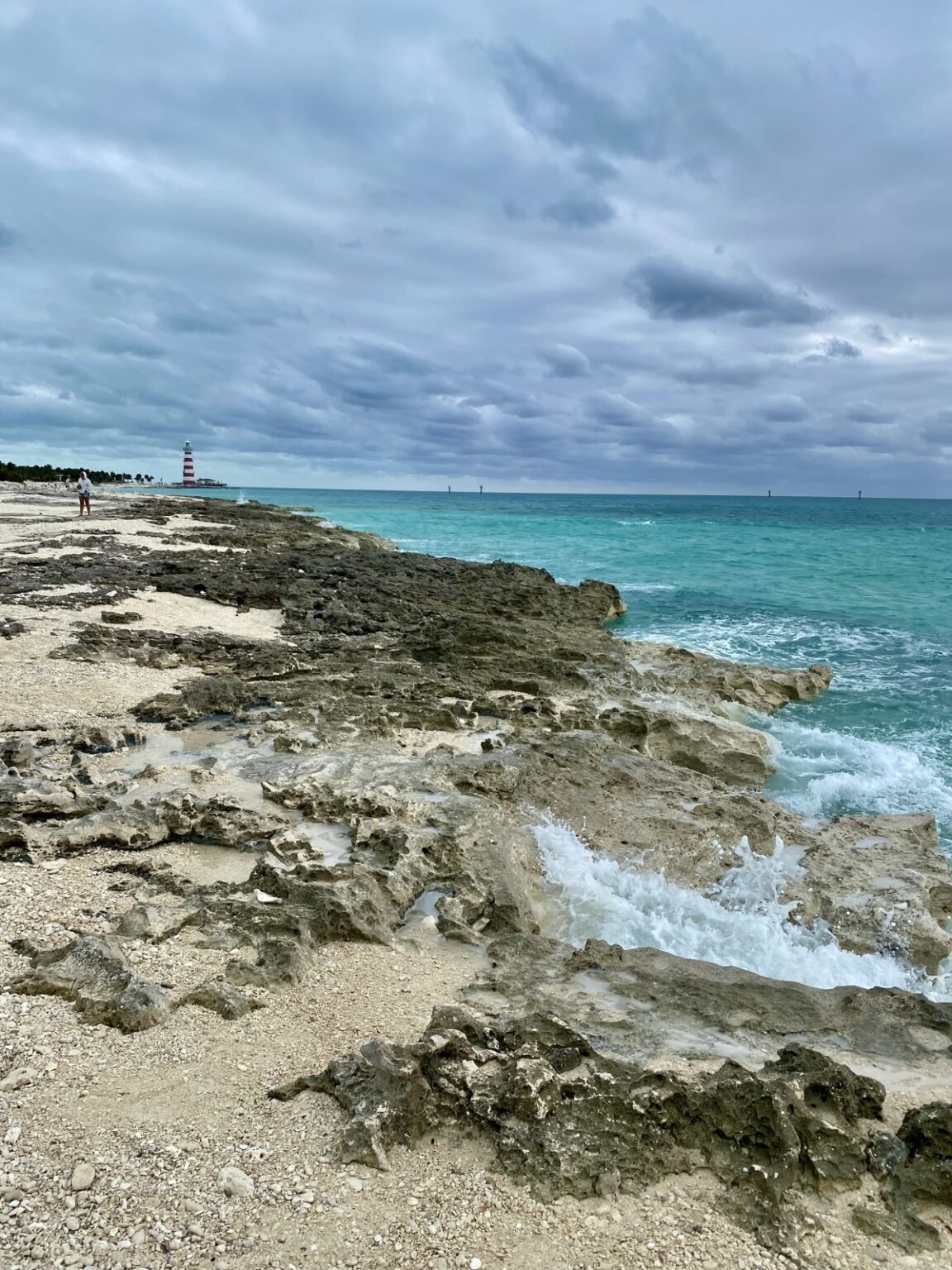 Steinige Küste Ocean Cay Bahamas