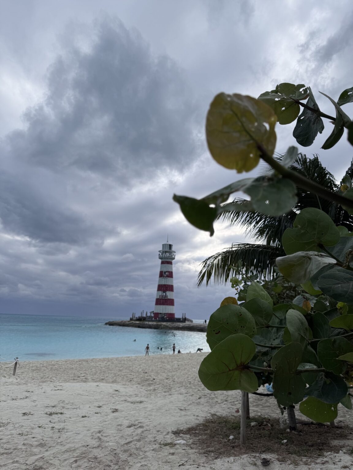 Ocean Cay Bahamas