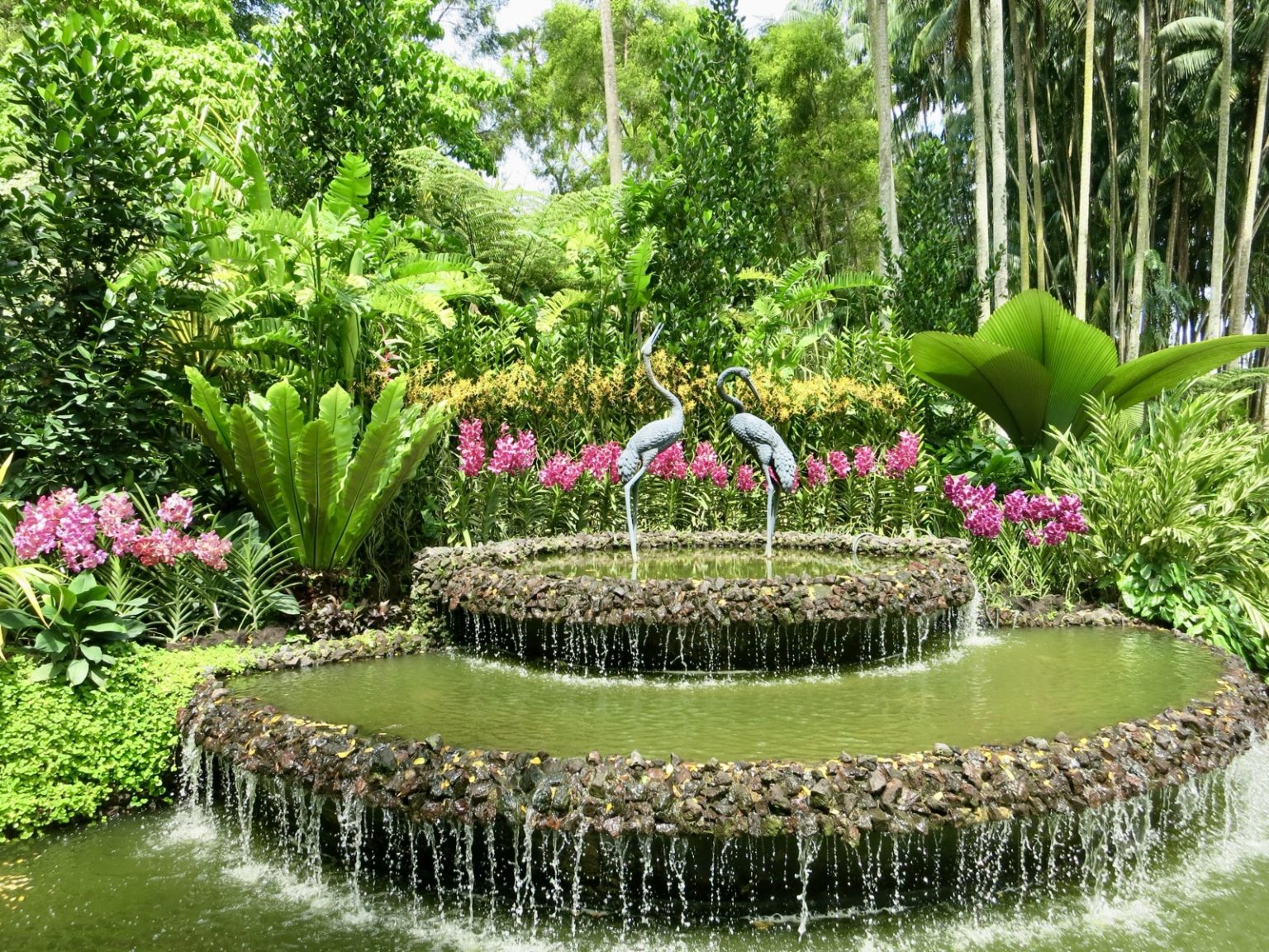 botanischer Garten Singapur