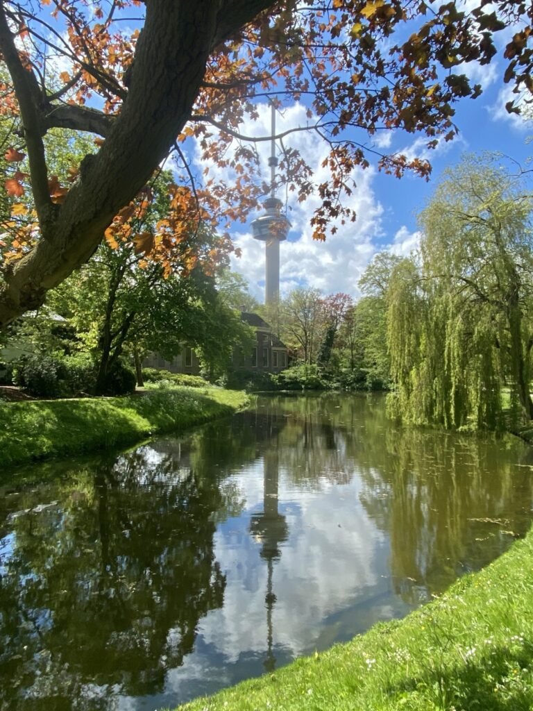 Het Park bij Euromast in Rotterdam