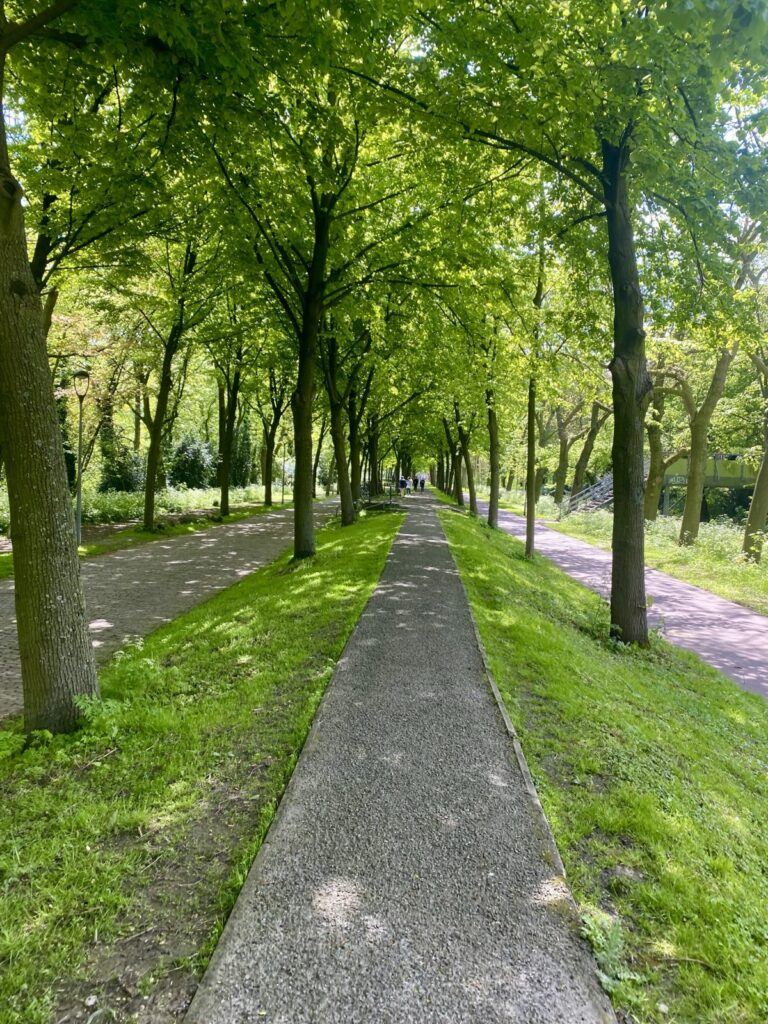 Het Park bij Euromast in Rotterdam
