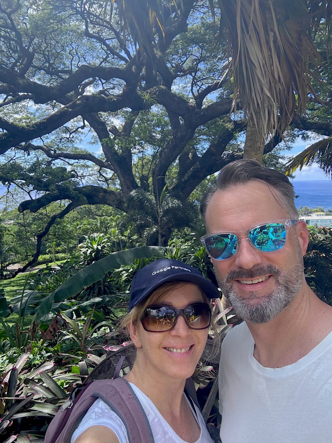 Pärchen unter großem Baum in St. Kitts