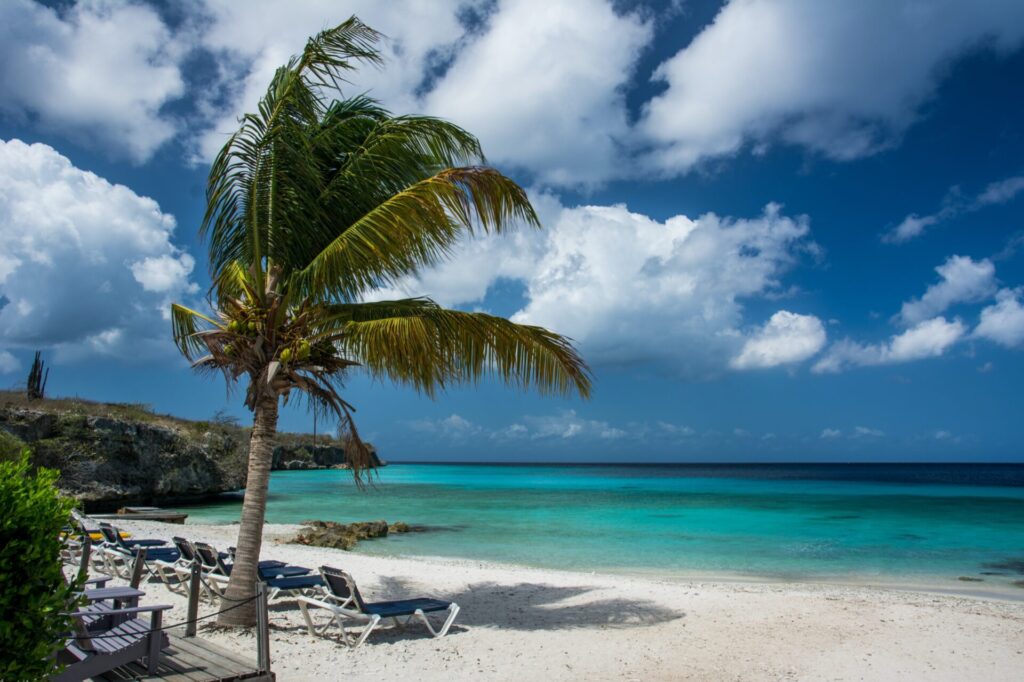 Strand mit Palmen und türkisem Meer auf Curacao