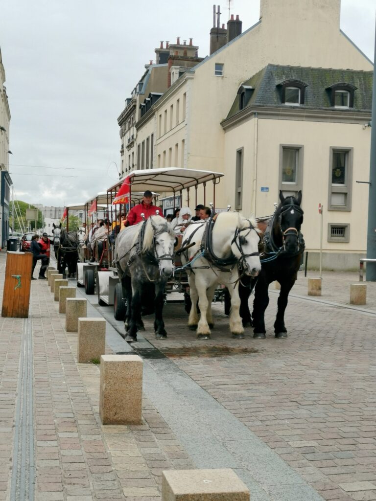 Pferdekutsche in Cherbourg