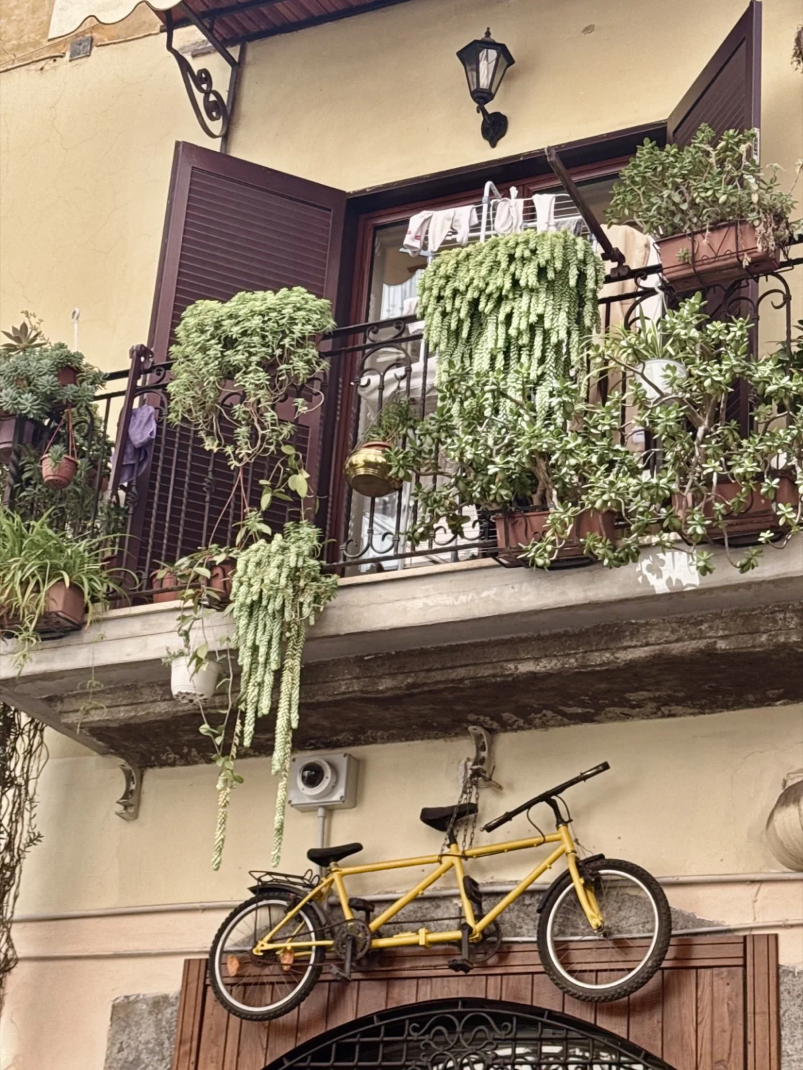 Fenster mit Blumen in Neapel