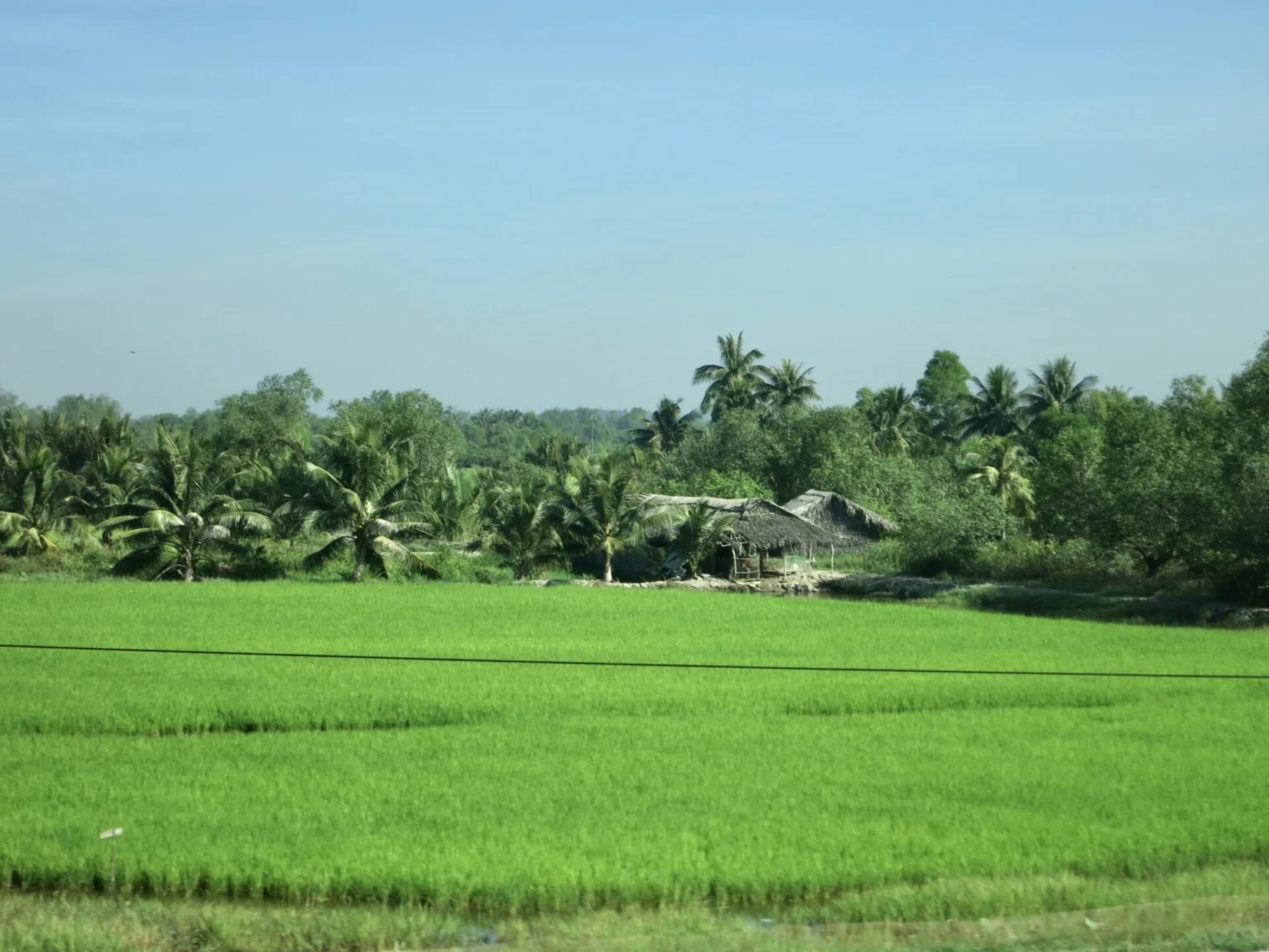 Phy My Ho-Chi-Minh 