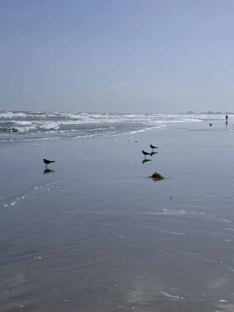 Jetty Park Beach im Port Canaveral