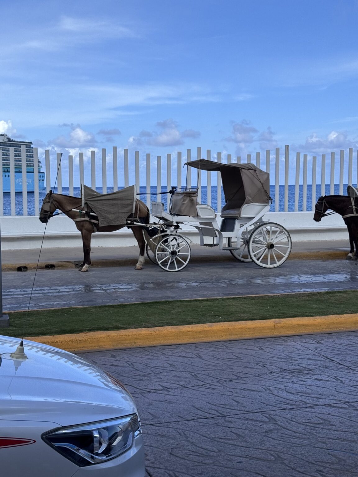 Kutsche am Hafen Punta Langosta Cozumel