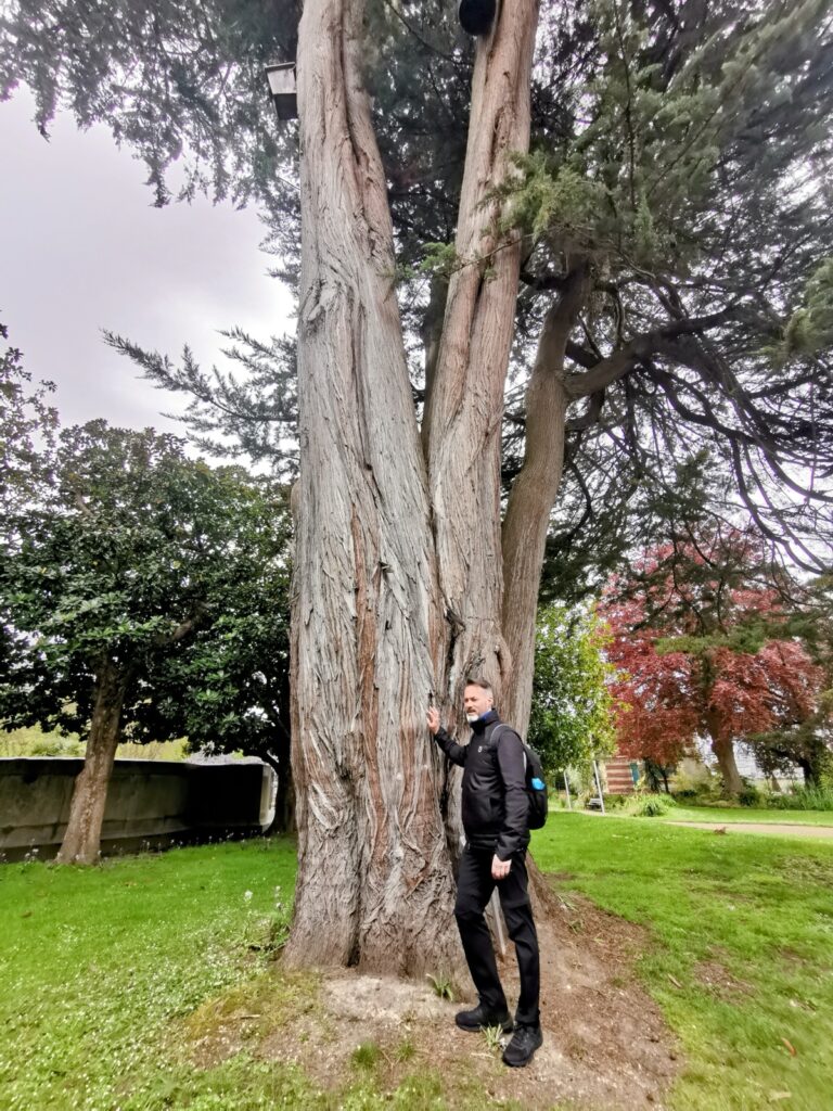 Jardin Public de Cherbourg 