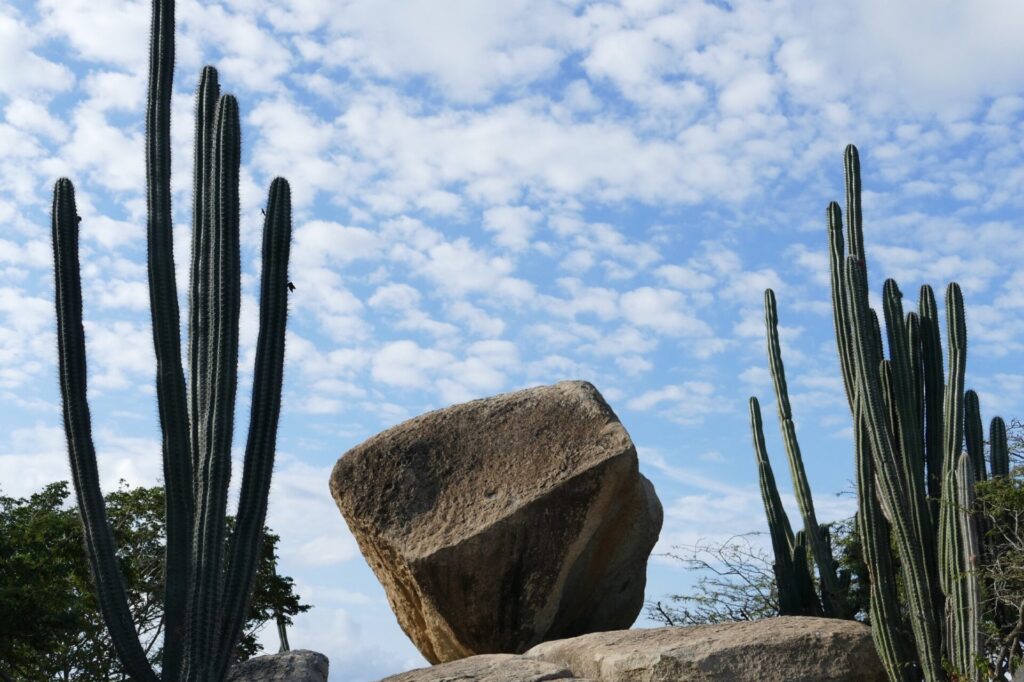 Kakteenlandschaft mit Stein im Rock Formation auf Aruba