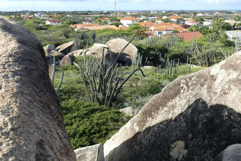 Kakteenlandschaft mit Stein im Rock Formation auf Aruba